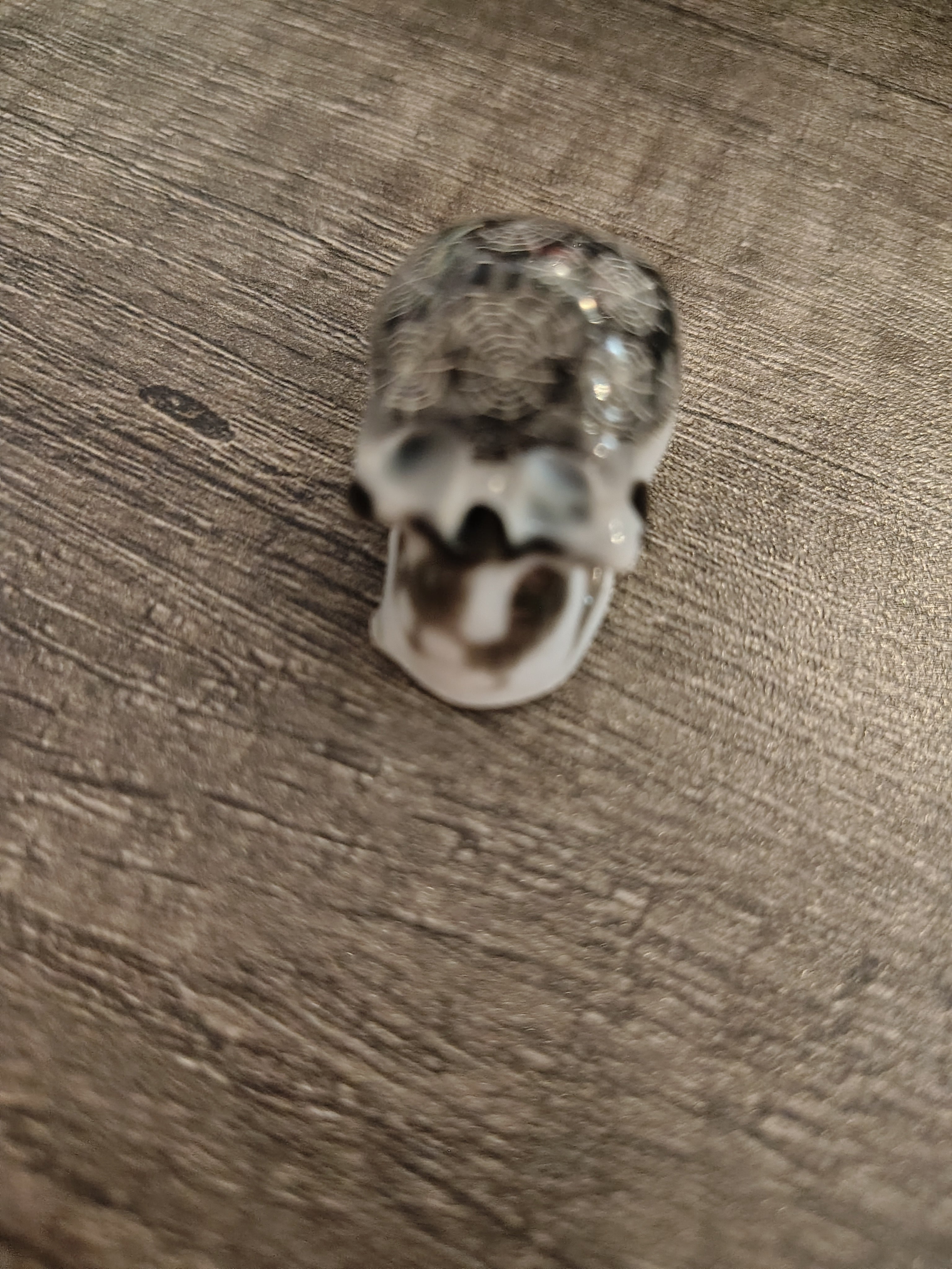 Black & White Steampunk HeadCase™ Mini Skull