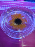 Sunflower Ashtray — handmade clear resin with preserved sunflower and glitter